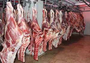 استفاده از معتادان متجاهر برای دلالی در بازار گوشت منجمد/ جریمه سنگین در انتظار شرکت&zwnj;های متخلف عرضه کننده گوشت