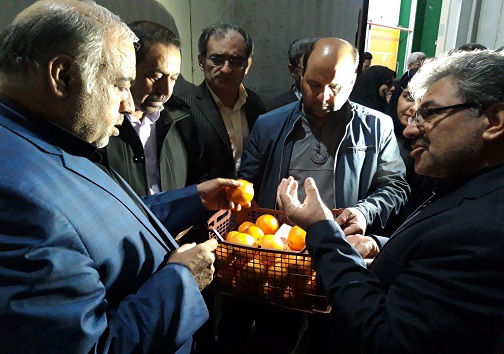 بازدید استاندار از سردخانه میوه شب عید