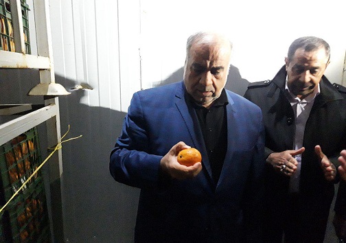 بازدید استاندار از سردخانه میوه شب عید