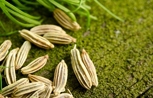راهی ساده  برای دستیابی به زندگی طولانی&zwnj;/علت زوال عقل چیست؟/خوراکی دم دستی برای تسکین درد&zwnj;های کولیکی نوزاد