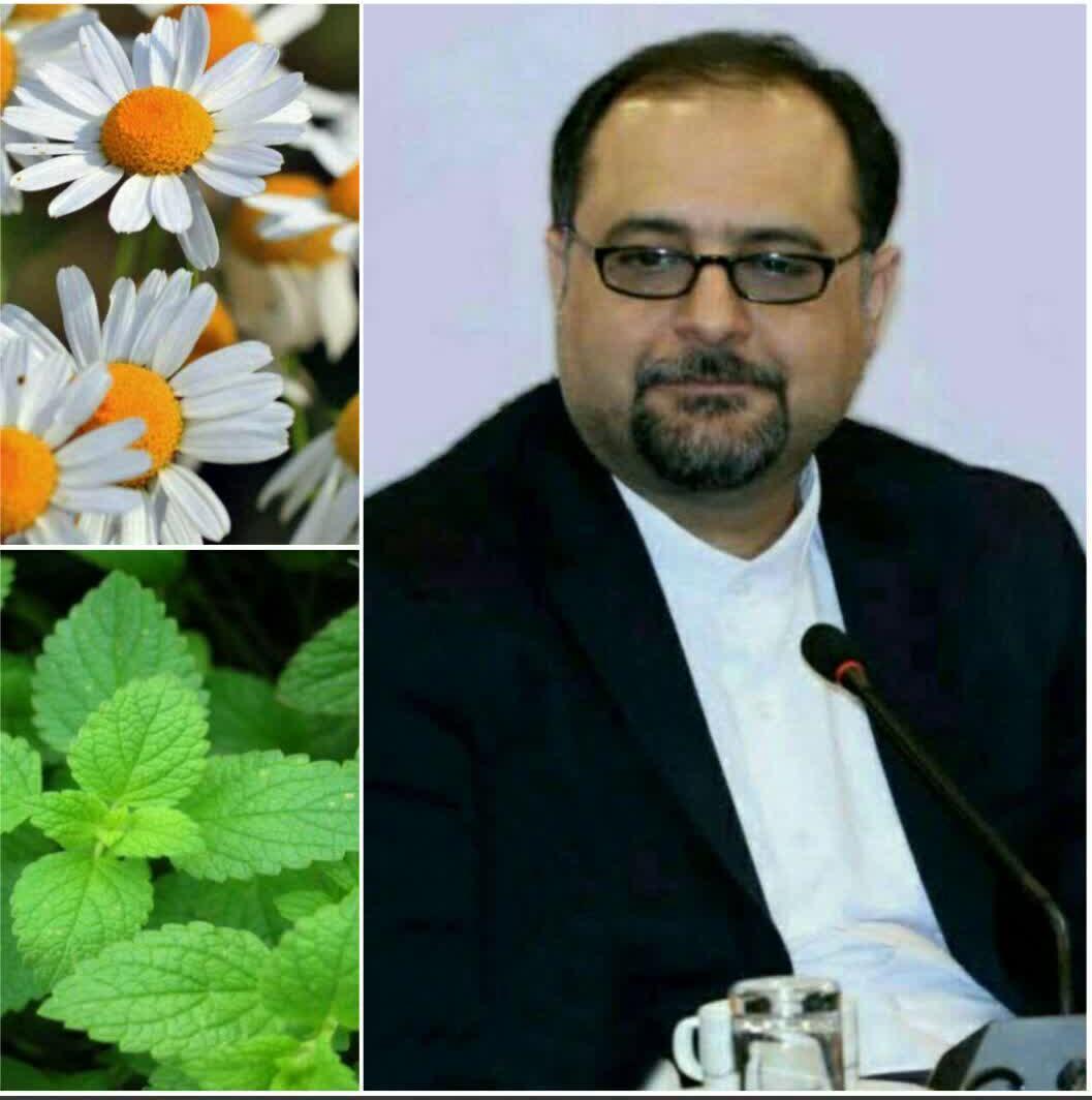 اتحادیه ملی گیاهان دارویی با هدف توسعه صادرات تشکیل می شود