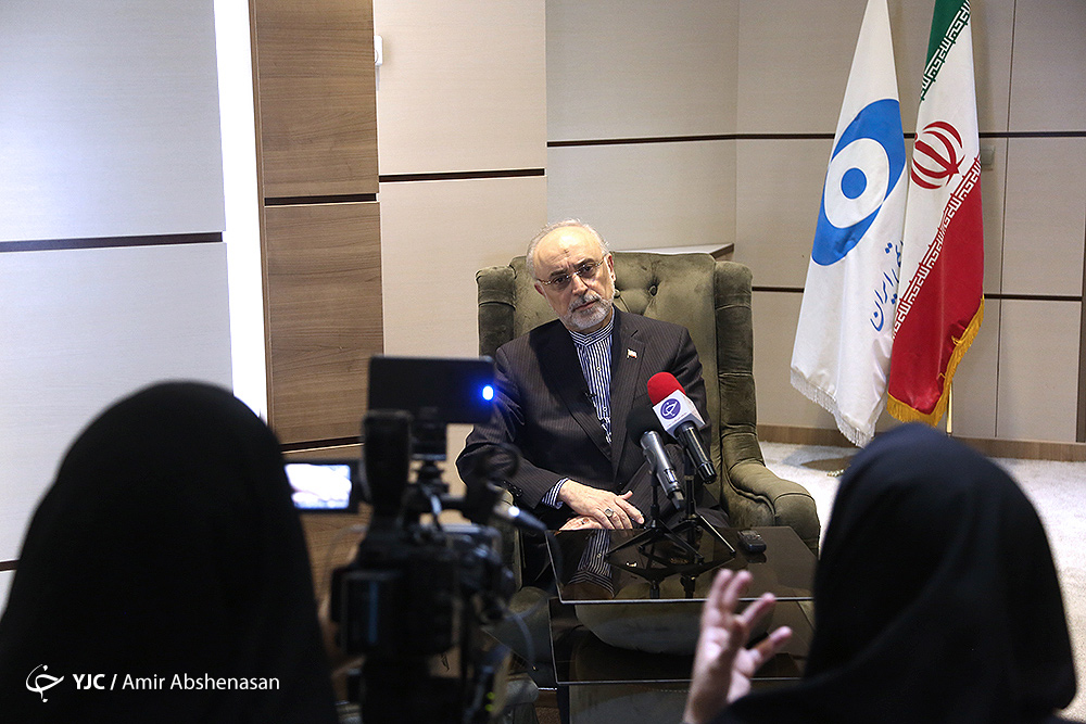 ابهامات زیباکلام در خصوص برنامه هسته ای پاسخ داده شد/ شاه NPT را پذیرفت/ رهبری موافق  گسترش راکتور های کوچک هستند/ اگر از من بپرسید NPT چیز خوبی است می گویم نه!