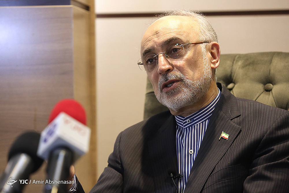 ابهامات زیباکلام در خصوص برنامه هسته ای پاسخ داده شد/ شاه NPT را پذیرفت/ رهبری موافق  گسترش راکتور های کوچک هستند/ اگر از من بپرسید NPT چیز خوبی است می گویم نه!