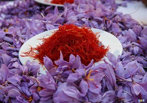 ورود خریداران خارجی زعفران در بورس کالای ایران