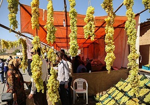 بنگاه‌های زود بازده اقتصادی آذربایجان غربی در رتبه نخست کشور
