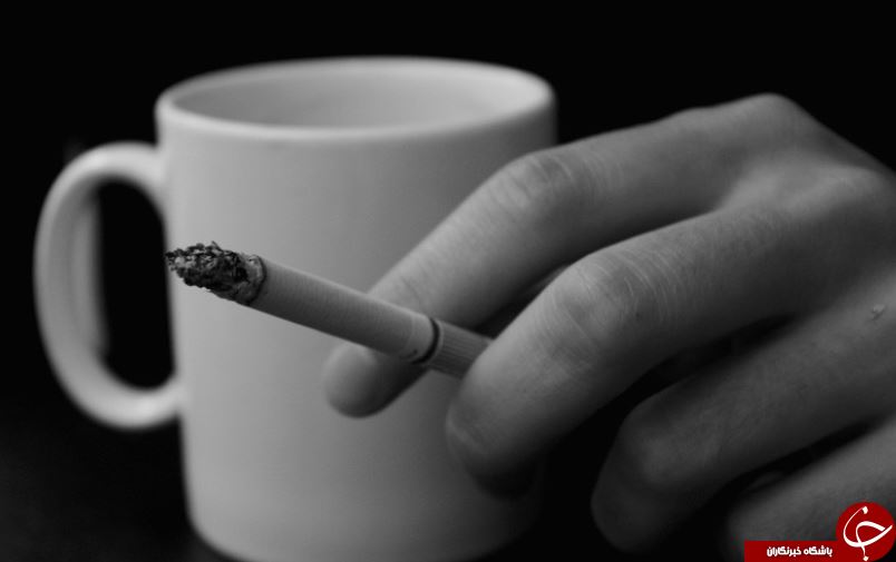 این خوراکیها شما را از روماتیسم نجات میدهد این خوراکیها شما را از روماتیسم نجات میدهد