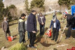 کاشت ۴۰ اصله نهال به مناسبت ۴۰ سالگی انقلاب
