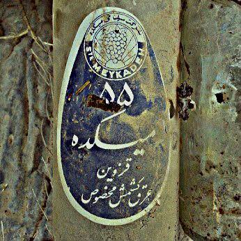 دانشجوی مبارزی که ماموران نمی&zwnj;توانستند او را دستگیر کنند