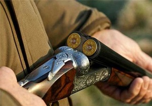 کشف و ضبط ۴۰ قبضه اسلحه شکاری در شهرستان بیله سوار