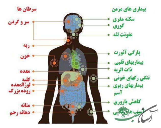 استعمال قلیان سبب بروز بیماری های قلبی و سرطان+ اینفوگرافی