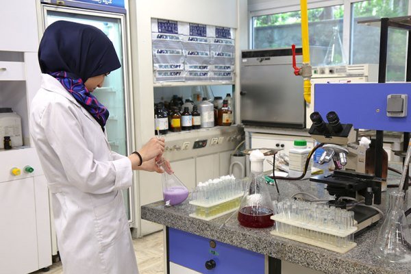 هیچ گزارشی مبنی بر خواباندن گوشت در نوشابه نداشتیم/ نظارت کامل بر تولید، توزیع و تست دام و طیور وجود دارد هیچ گزارشی مبنی بر خواباندن گوشت در نوشابه نداشتیم/ نظارت کامل بر تولید، توزیع و تست دام و طیور وجود دارد