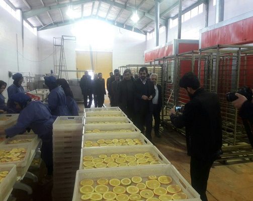 کار آفرینی با دستان خالی از کارگاه خانگی تا کارخانه صنعتی/بروکراسی های اداری مانع کارافرینی است