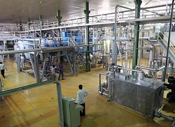 دست&zwnj;های پشت پرده واردات، کارخانه ژلاتین مشهد را تعطیل کرد