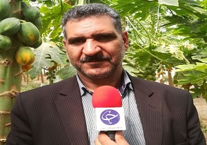 وام&zwnj;های کشاورزان خسارت دیده تمدید می&zwnj;شود