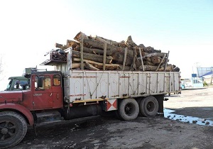 تامین مواد اولیه مورد نیاز ۲ کارخانه فعال نئوپان استان اردبیل