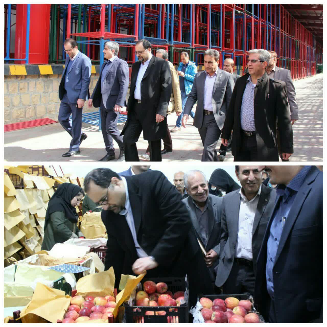 روابط عمومی//ذخیره&zwnj;سازی ۲۳ هزار و ۷۶۰ تن سیب درختی برای تنظیم بازار شب عید