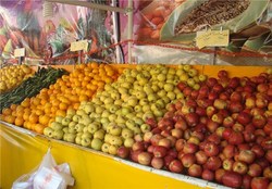 ذخیره سازی سیب شب عید ۴۶ درصد افزایش یافته است
