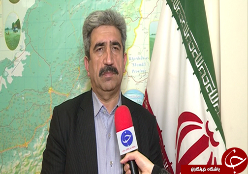 کشت سیب زمینی با بذر صنعتی راهی سود آورتر برای کشاورزان گلستانی