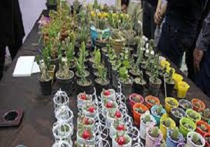 برپایی دو نمایشگاه در قزوین از ۲۹ بهمن ماه