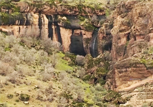 مخمل کوه