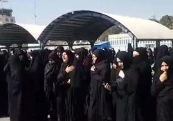 وداع با ۲۷ آلاله مرزبان وطن + فیلم