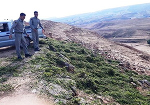نذر ۱۰ میلیون تومانی یک خیر از استان فارس برای خرید علوفه حیات وحش استان اصفهان