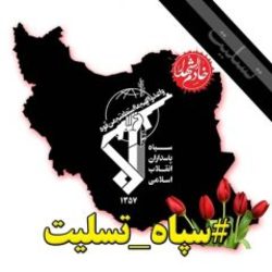 عکسی تکان دهنده از انتظار همسر و فرزند یکی از شهدای حافظ امنیت در فرودگاه اصفهان