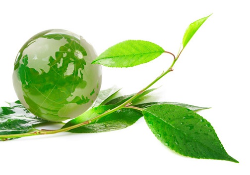 جنگلانه، طرحی ملی و مردمی است