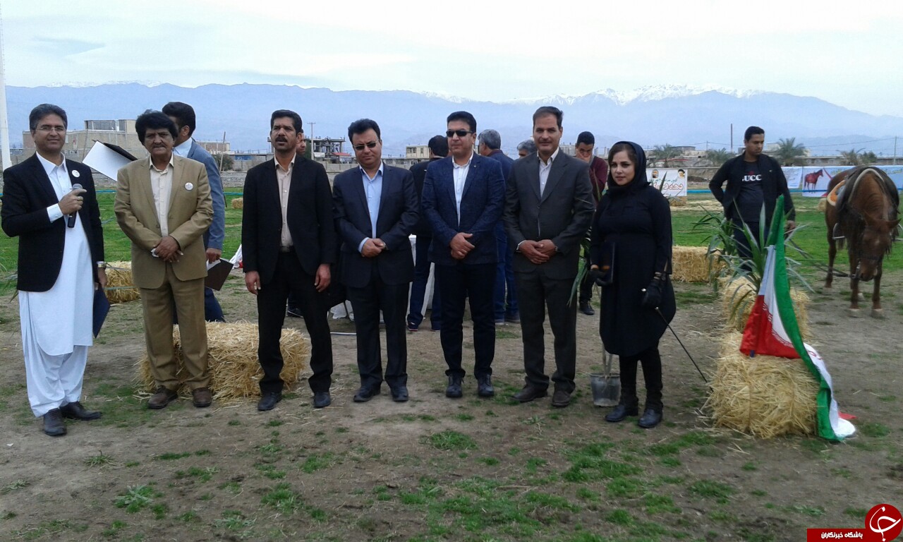 جیرفت میزبان جشنواه شو سواره اسبان بومی فلات ایران + تصاویر