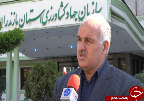 خودکفایی ادوات کشاورزی مازندران/ کشاورزی روی دور آرامش