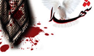 شهید شما از ملائکه هم بالاتر است