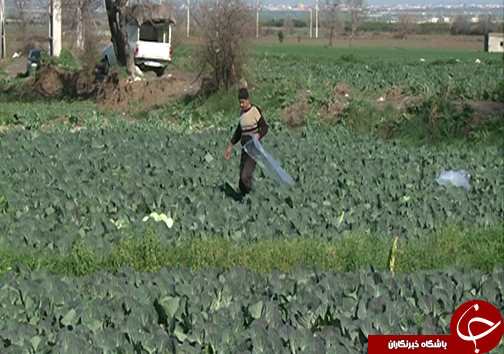 جان تازه رودخانه&zwnj;های گلستان / خشکسالی&zwnj;ها با بارش باران جبران نمی&zwnj;شود