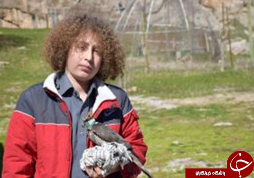نوجوان لرستانی ناجی پرنده شکاری