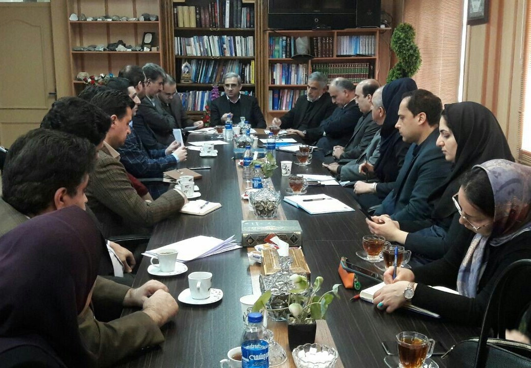 تحول صنایع سلولزی با هدف حفظ جنگل‌های باستانی و هیرکانی