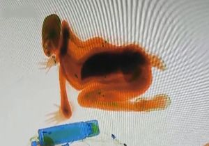 خبر