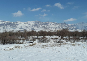 پیش بینی کاهش دما و وزش باد شدید