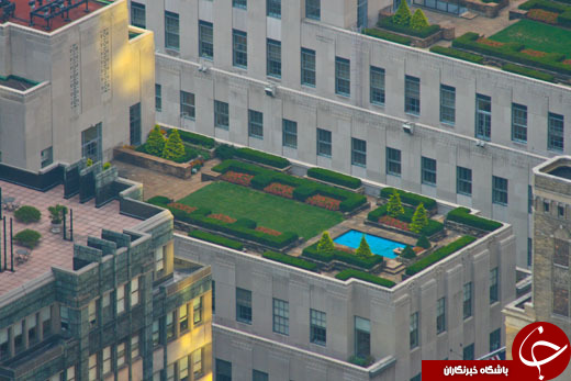 روف گاردن Roof Garden چیست؟ +معرفی انواع آن