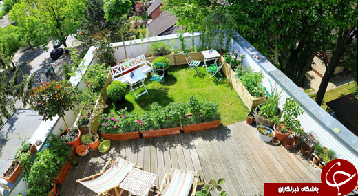 روف گاردن Roof Garden چیست؟ +معرفی انواع آن