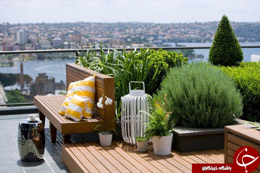 روف گاردن Roof Garden چیست؟ +معرفی انواع آن