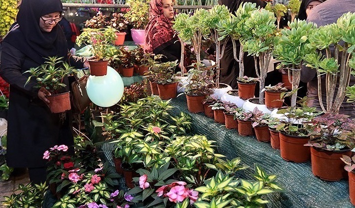 نرخ مصوب هر شاخه گل رز را ۱۲ تا ۱۵ هزار،