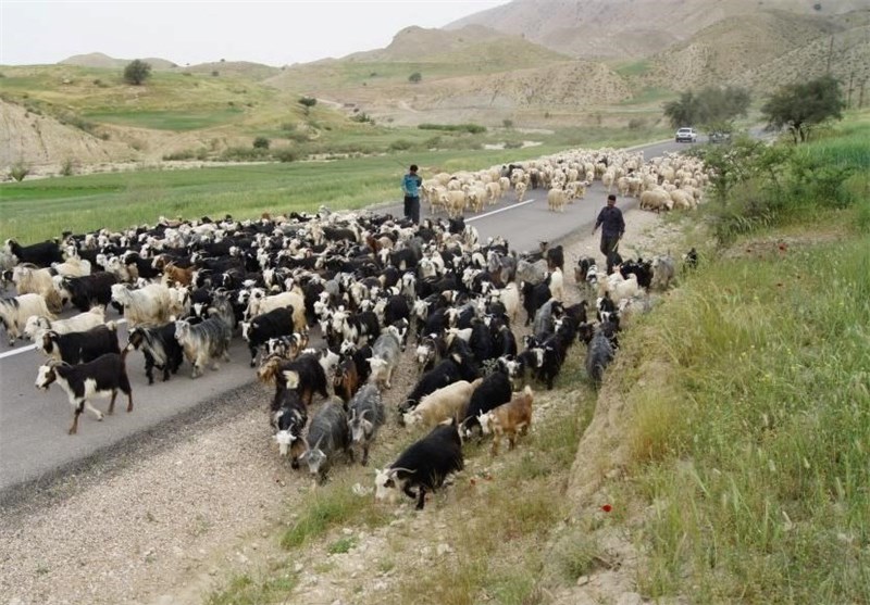 بازسازی ۱۴۰۰ کیلومتر از راه&zwnj;های عشایری استان ایلام
