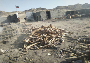 تولید کنندگان ذغال غیر مجاز دستگیر شدند