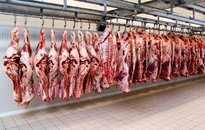 توزیع گوشت گرم برای تنظیم بازار