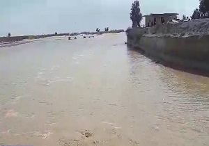 لحظه ورود آب به رودخانه سیستان + فیلم