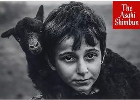 عکاس گیلانی دارنده نشان طلای جشنواره بین‌المللی آساهی شیمبون ژاپن