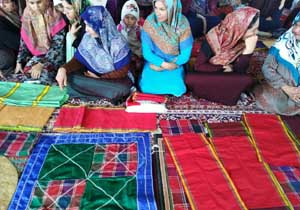 پرداخت ۱۴ میلیارد تومان تسهیلات توسعه روستایی