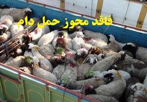 کشف ۸۳ راس قاچاق در بویین زهرا