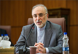 چرخه تولید کیک زرد در مجتمع صنعتی شهید رضایی‌نژاد اردکان + فیلم