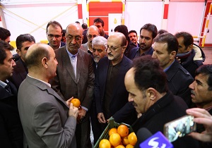 کمبودی برای میوه شب عید وجود ندارد