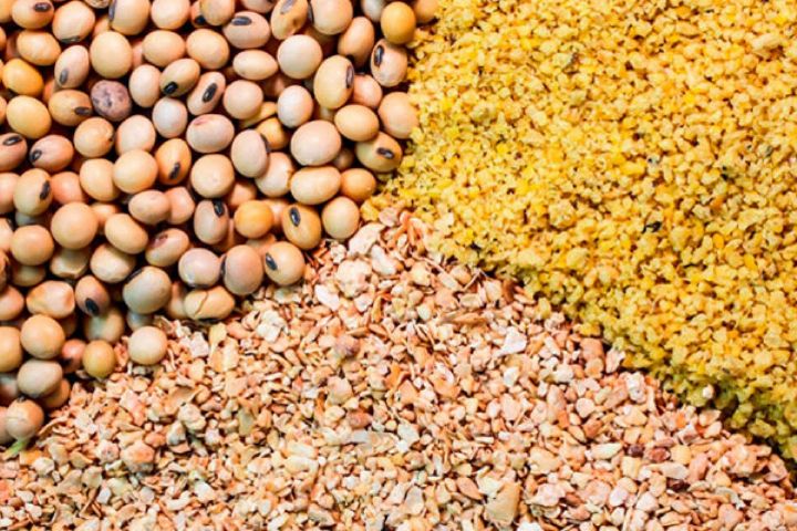 اصلاح ساختار بخش آب وزارت نیرو تا پایان سال/تحریم شرکت هواپیمایی ماهان به آلمان تحمیل شد